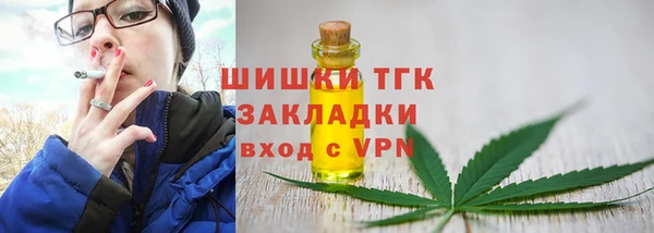 mix Бородино